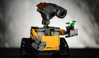 Build Your Own Rover Robot