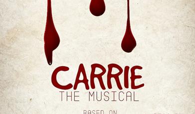Carrie is based on Stephen King’s bestselling novel, featuring a book by Lawrence D. Cohen (screenwriter of the classic film)