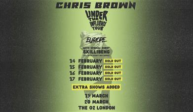 Chris Brown: Under The Influence Tour