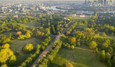 Greenwich Park Aerial View