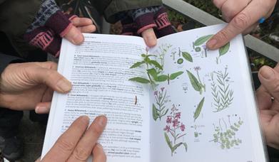 Join Creekside Discovery Centre on the hunt in the wilderhood of Creekside.