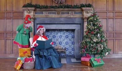 Join Mrs Claus and her elves for captivating storytelling, icing gingerbread biscuits and creating your own masterpiece decoration to take home for yo