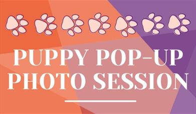 Have you ever wondered if your dog has the soul of a “paw-casso”?