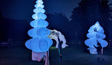 © Emma Powell - Unfurl is a beautiful installation that celebrates the wonder and intelligence of nature's designs