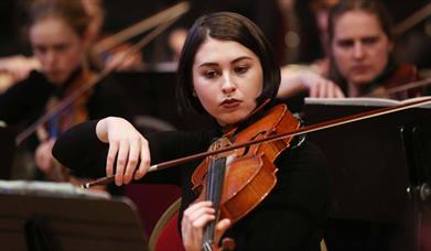 Sinfonia Strings with Walter Reiter