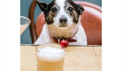 Let's celebrate the Irish heritage in style here at Richard the First pub.