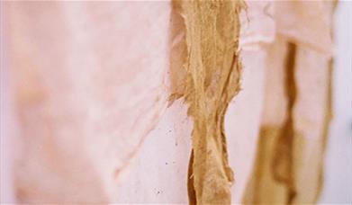 Join artist Johanna Tagada Hoffbeck to learn the basics of natural dye on plant-based fabrics and explore tea and herbal infusion as dyes