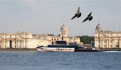 Pigeons and Uber Boat by Thames Clippers in front of Old Royal Naval College, Greenwich