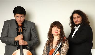 Lunchtime Recital: Waldstein Trio