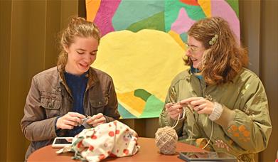 World Wide Knit in Public Day is 20 years old in 2025! 
