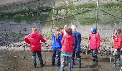 The Creek Know-How course shares the secrets of this hidden gem as you learn about Deptford Creek and the tidal environment.