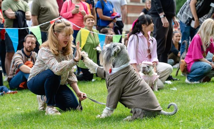 Greenwich Dog Show Animal Event in Greenwich, Greenwich - Main Image