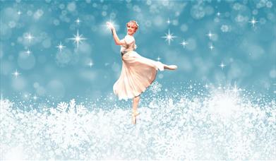 A perfect Christmas show for the whole family!