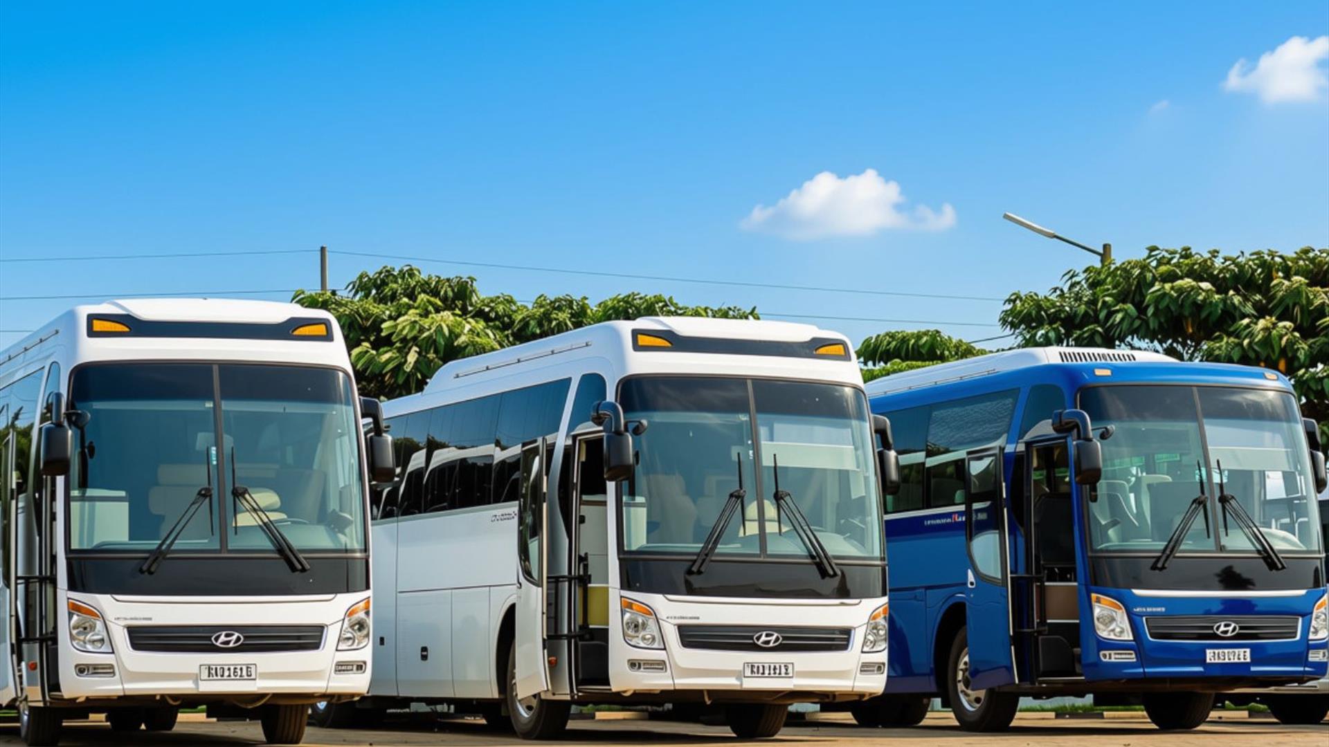 Three coaches parked in a car park