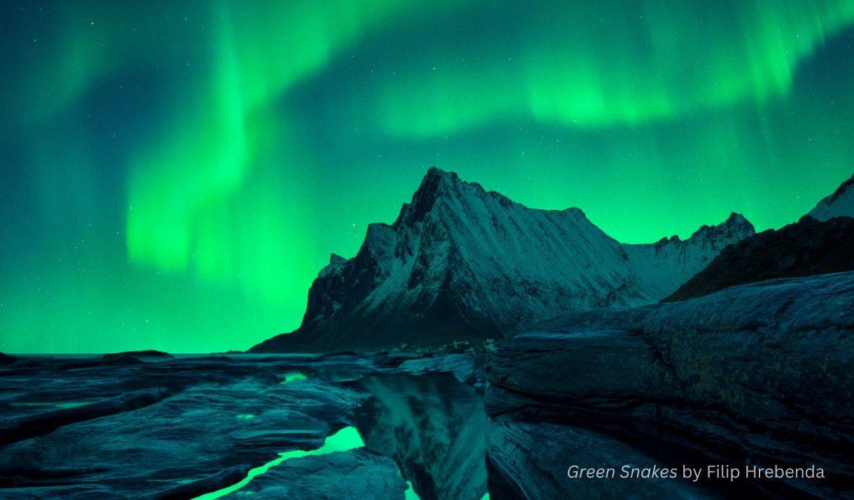 Image credit: © Green Snakes by Filip Hrebenda