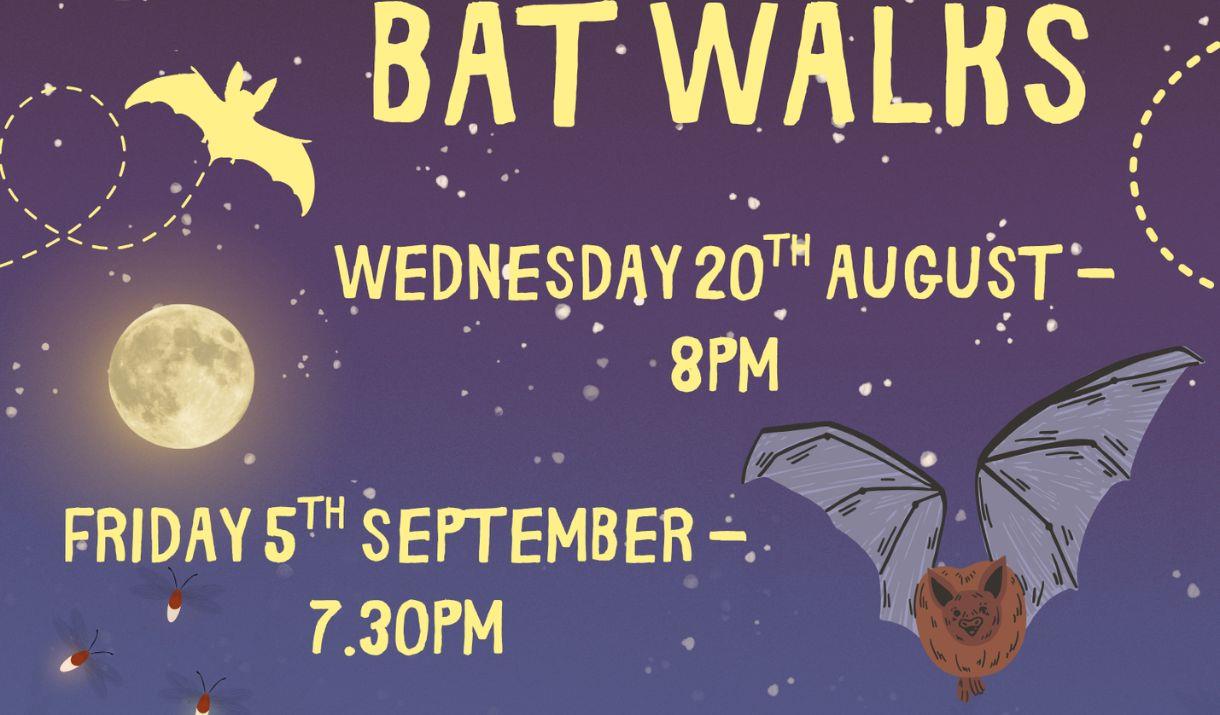 Bat Walk at Woodlands Farm