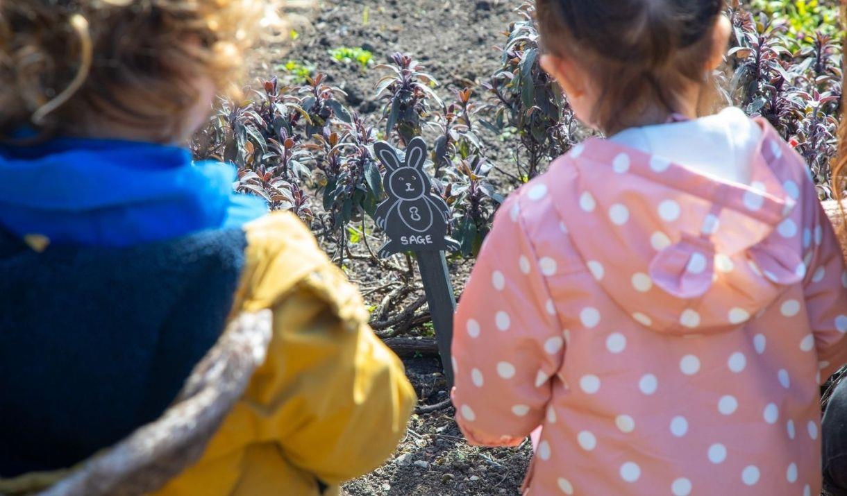 Discover treats, spring plants, and bunnies in the Charlton House garden beds