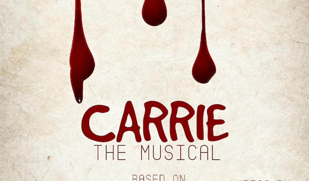 Carrie is based on Stephen King’s bestselling novel, featuring a book by Lawrence D. Cohen (screenwriter of the classic film)