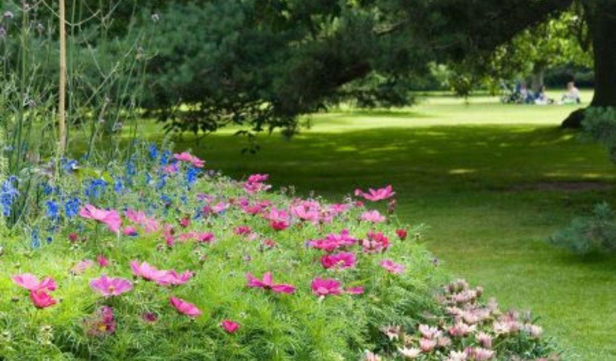 Join The Royal Parks' volunteers for nature-themed crafts and wildlife discovery.