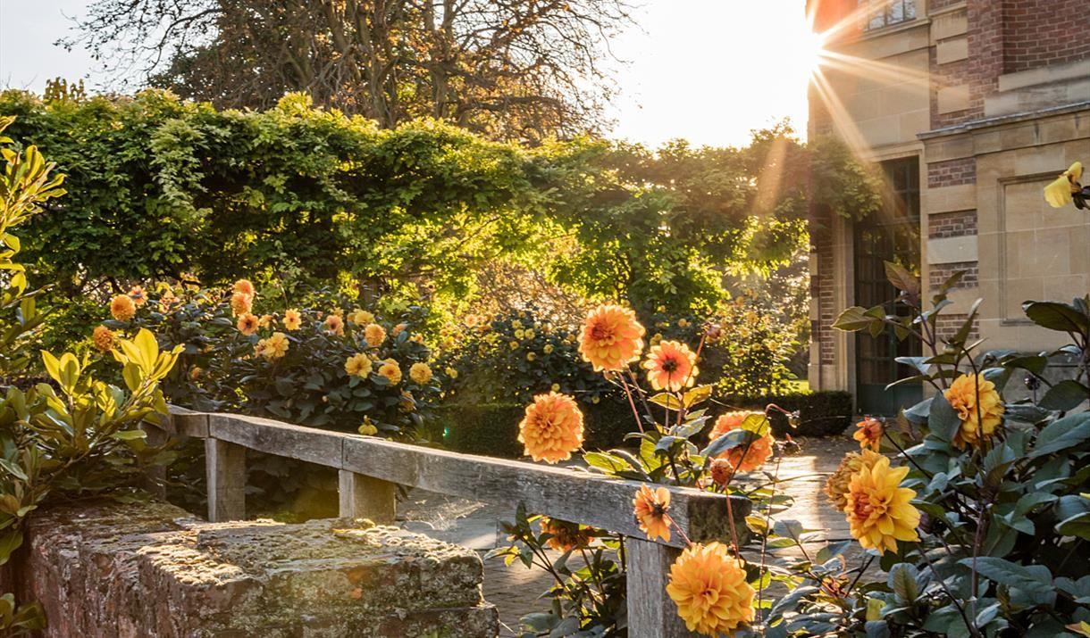 Fleurs de Villes - Flowers in front of Eltham Palace