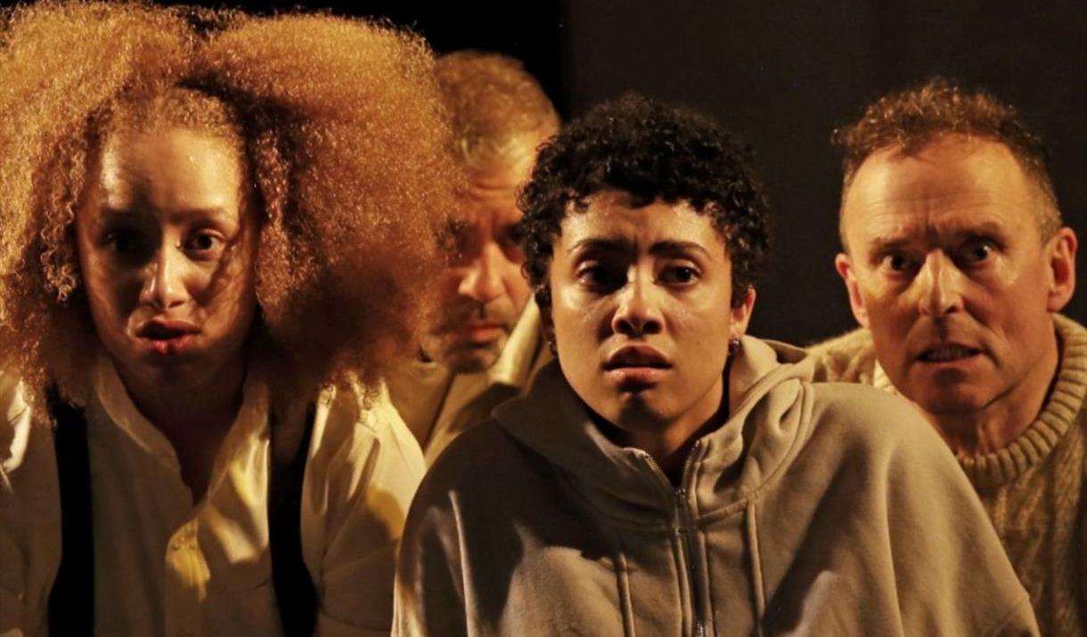 Monthly double bill of new work from emerging and mid-career artists