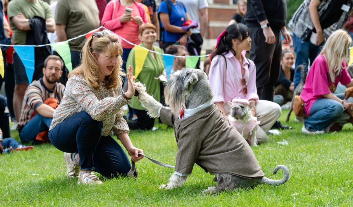 Does your dog have the waggiest tail or could they be the prettiest bitch or most handsome dog? Every dog is welcome!