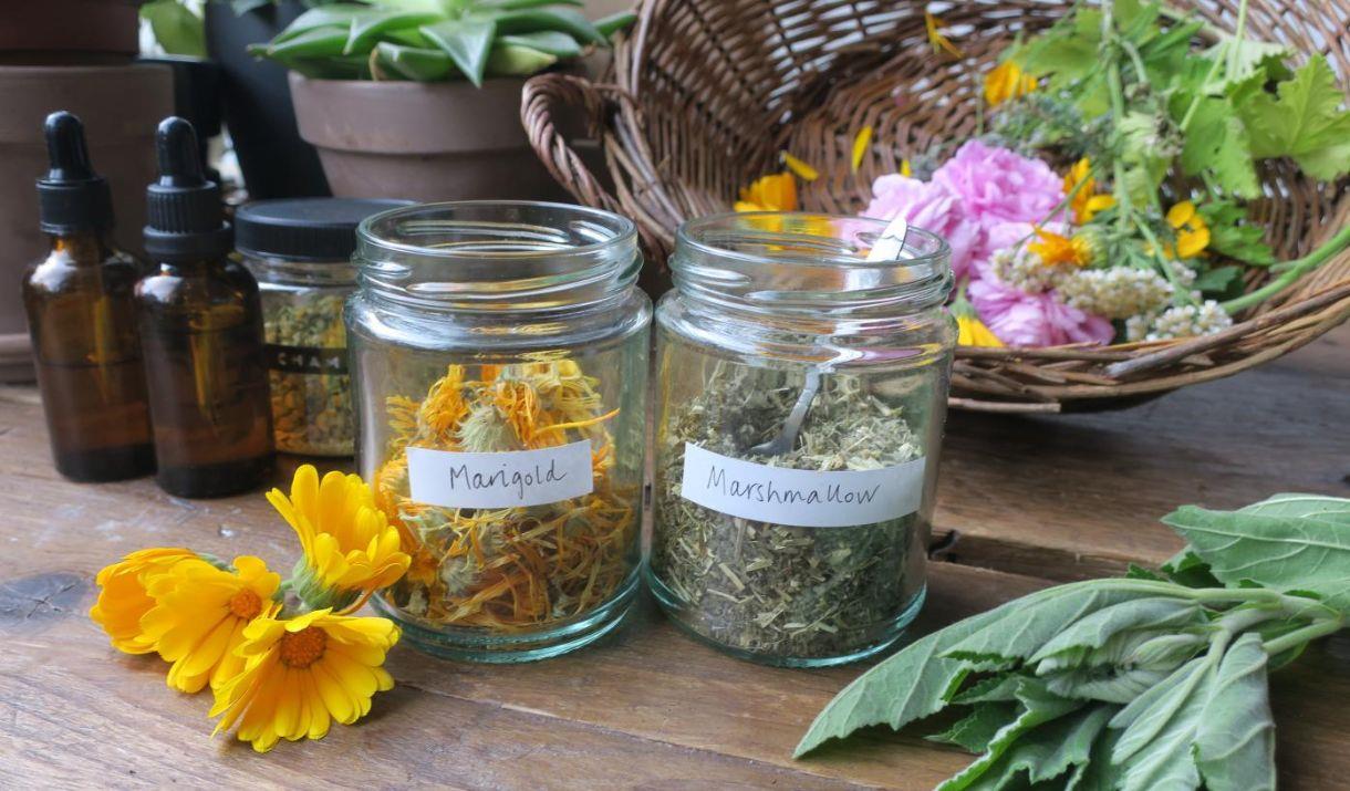 Learn about the connections between women, plants and health through history and create your own aromatic spray with essential oils