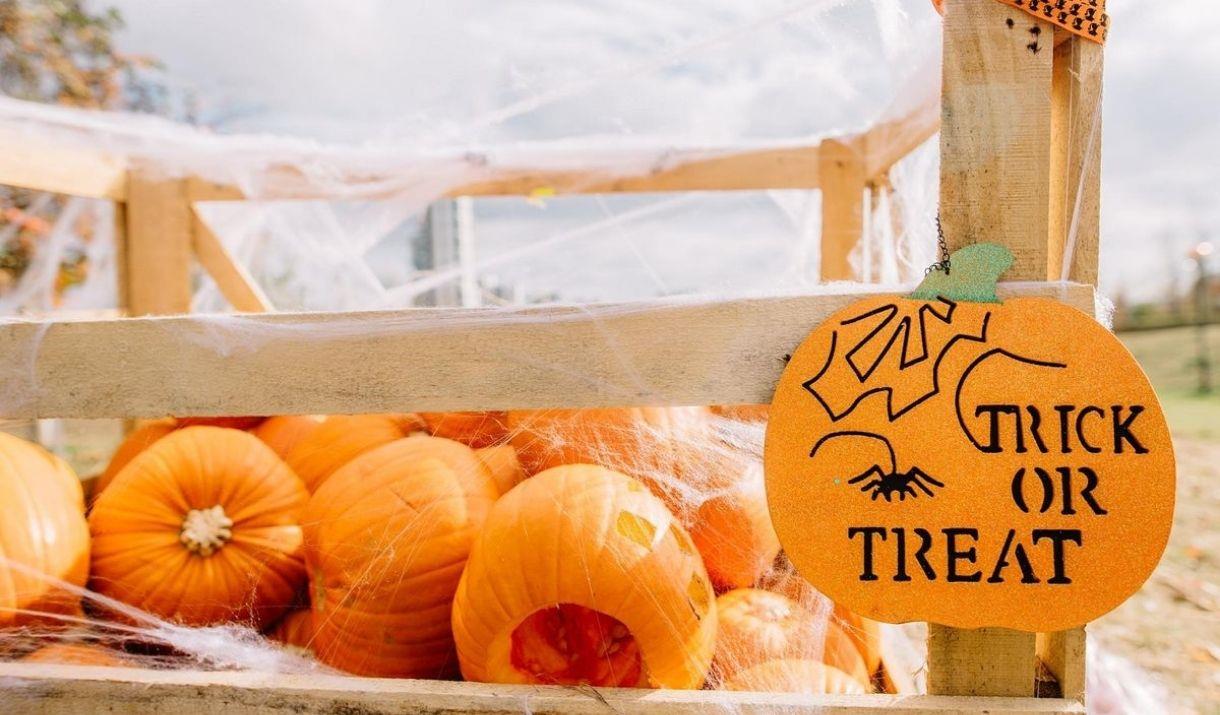 An afternoon of family-friendly Halloween fun at The Jetty.