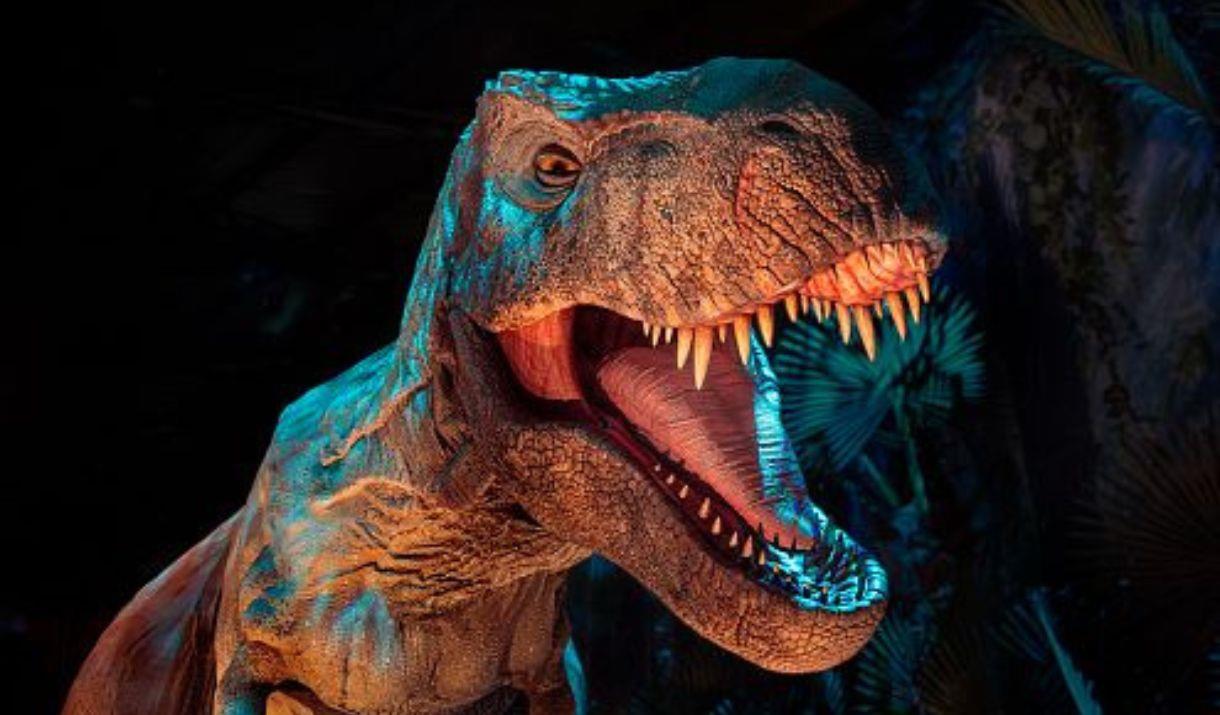Jurassic World : Fallen Kingdom T-Rex Dinosaur Full Wall Mural