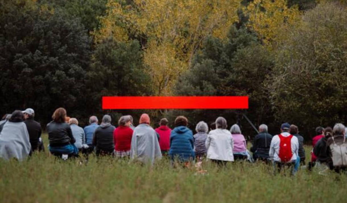 Enter a hidden natural world for a two-part immersive storytelling experience celebrating our relationship with trees & giving voice to nature itself