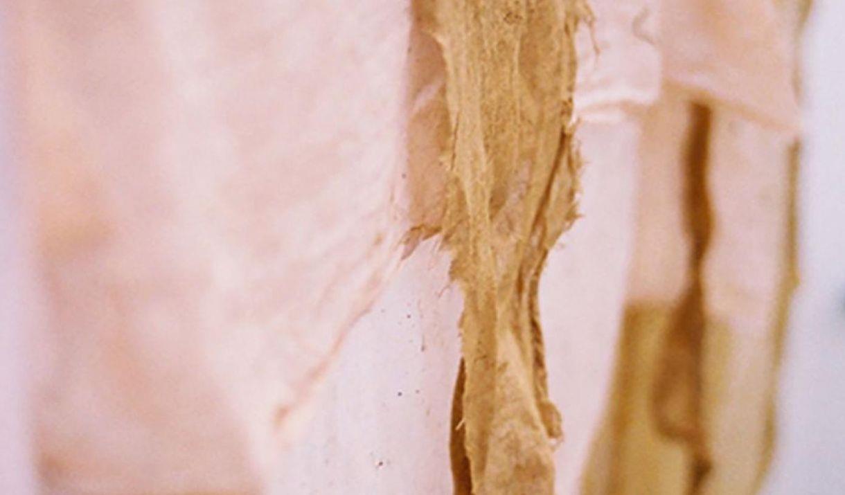 Join artist Johanna Tagada Hoffbeck to learn the basics of natural dye on plant-based fabrics and explore tea and herbal infusion as dyes