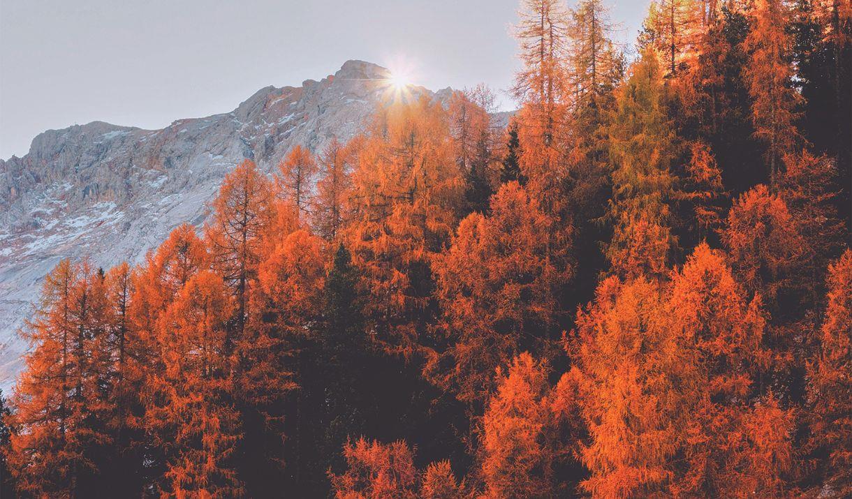 Join Winter Thrive and add fun, energy and creativity to your wellbeing this winter