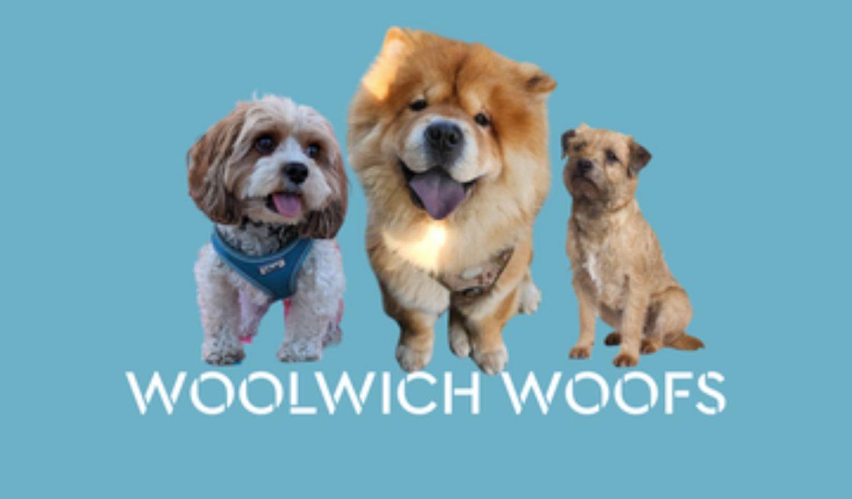 Woolwich Woofs is back this summer, bringing audiences of all ages the most playful dog show in town