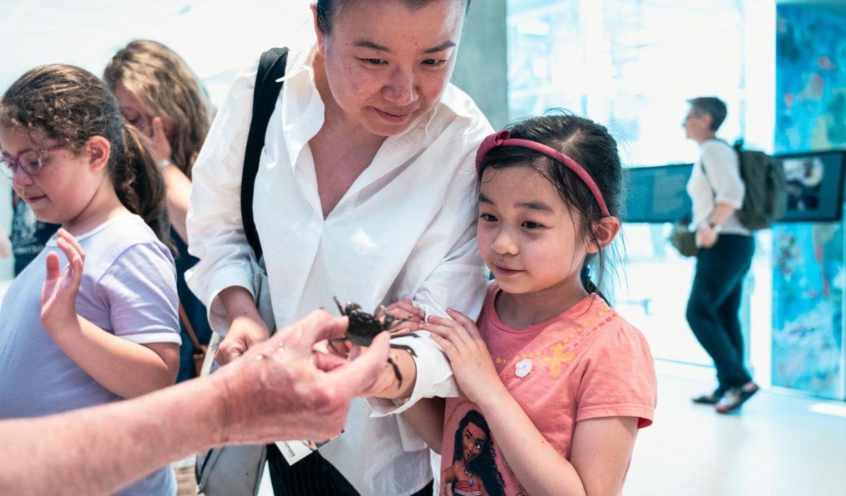 A family-friendly celebration of our ocean hosted at the National Maritime Museum, Greenwich
