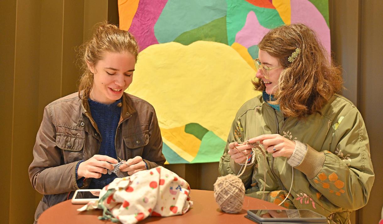World Wide Knit in Public Day is 20 years old in 2025!