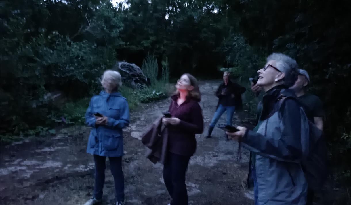 An evening guided walk around Woodlands Farm to see if we can spot any bats.