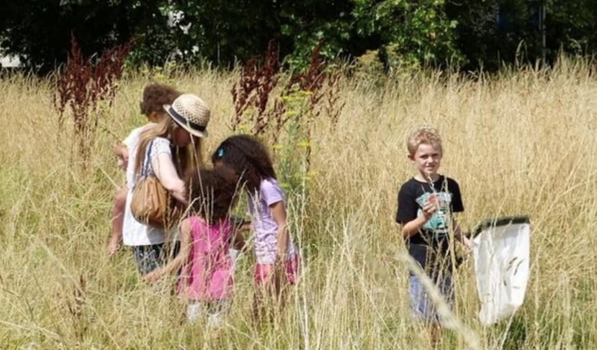 Invertebrate Day! Bug Hunting & Crafts