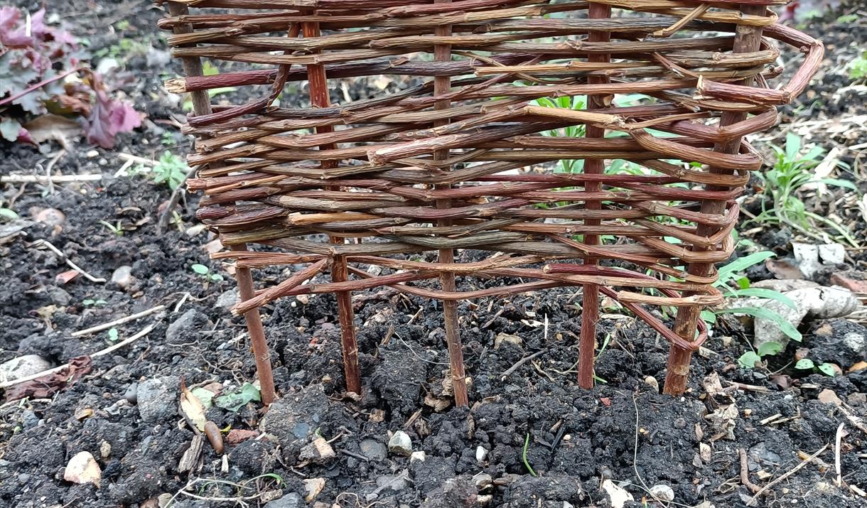 Learn a new skill and have a go at making a mini willow hurdle