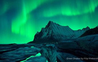 Image credit: © Green Snakes by Filip Hrebenda