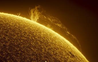 Image credit: © National Maritime Museum, Greenwich