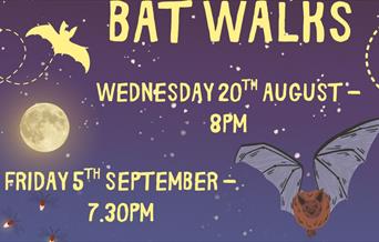 Bat Walk at Woodlands Farm
