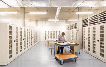 Come behind the scenes at the Prince Philip Maritime Collections Centre, and find out more about just some of the incredible objects cared for every d