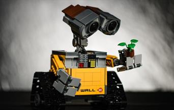 Build Your Own Rover Robot