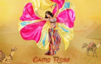 A showcase of talent from students of Cairo Rose belly dance studio