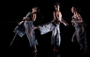 Restaging project by Trisha Brown Dance