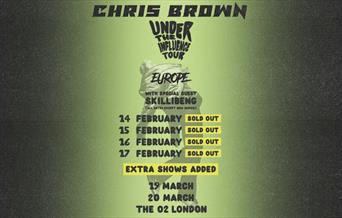 Chris Brown: Under The Influence Tour