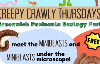 Join Greenwich Peninsula Ecology Park’s Easter family sessions and learn about wildlife and nature through interactive activities