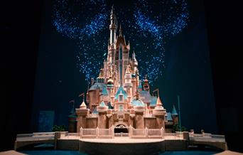 Disney like you've never seen it before!