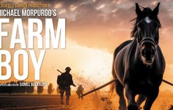 The sequel to Michael Morpurgo’s epic War Horse