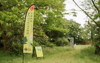 Explore what the Royal Parks have revealed throughout the Greenwich Park Revealed project